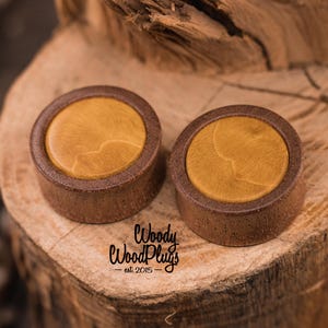 Sapele wood plugs with yellow maple inlay  wood ear plugs  orange ear gauges  14mm 16mm 17mm 18mm 19mm 20mm 22mm 24mm 26mm 28mm 30mm 32mm