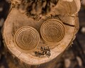 Sapele Concave wood plugs wooden plugs, pair of concave gauges with different types of wood-  12mm 14mm 15mm 16mm 18mm 20mm 22mm 24mm 25mm product logo