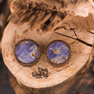 May include: Two round wooden plugs with a blue and gold marbled design. The plugs have a dark brown wooden frame. The image is set on a wooden background. The text "Woody WoodPlugs est. 2015" is visible.