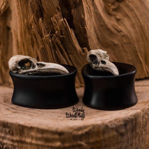 Ebonite Teardrop ear tunnels and plugs with Bird&#39;s skulls 25mm 1inch 26mm 28mm 30mm 32mm 34mm 36mm 38mm 40mm 42mm 44mm 45mm - 50mm 2in