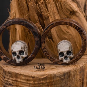 Movingui Yellow ear tunnels - Yellow wood ear gauges organic Gauges and tunnels 10mm 12mm 14mm 16mm 18mm 20mm 22mm 24mm 26mm 28mm 30mm 33mm