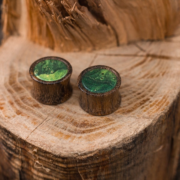 Amazaque wood ear plugs with green Maple inlaid | Natural green wooden gauges 10mm 00g 12mm 14mm 16mm 18mm 20mm 22mm 24mm 26mm 28mm 30mm