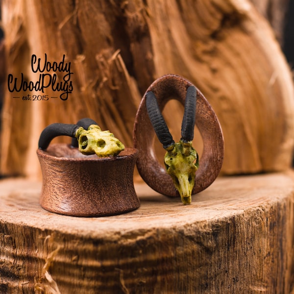 Teardrop Wood Ear Plugs and Tunnels with gazelle skulls, wooden ear tunnels with goat skull 7/8'' to 2''| 22mm-50mm