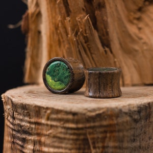 Amazaque wood ear plugs with green Maple inlaid | Natural green wooden gauges 10mm 00g 12mm 14mm 16mm 18mm 20mm 22mm 24mm 26mm 28mm 30mm image 9