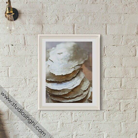 Glamorous Wall Art Print Subtle Shell Photography Capiz - Capiz Wall Art Uk Glamorous Wall Art Print Subtle Shell Photography Capiz - Capiz Wall Art Uk