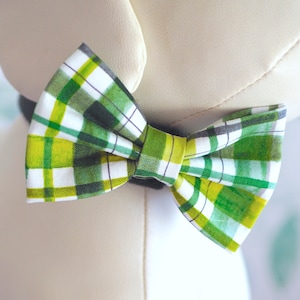 May include: A green and white plaid bow tie with a white background. The bow tie is tied around the neck of a white stuffed animal.