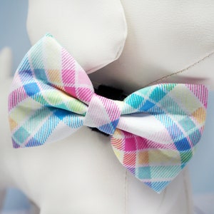May include: A white bow tie with a colorful plaid pattern in shades of pink, blue, yellow, and green.