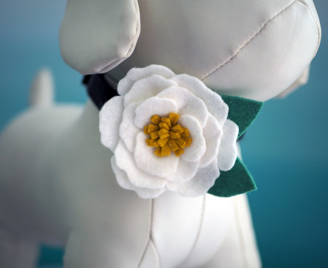 White Collar Flower for Wedding, Magnolia Dog Collar Bud Corsage