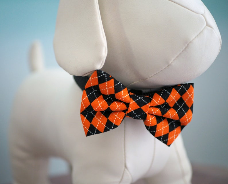orange bow tie dog collar