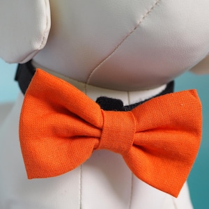 May include: A white stuffed animal wearing an orange bow tie. The bow tie is made of fabric and has a black strap.