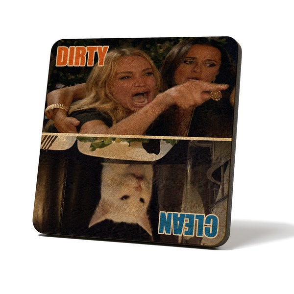 Woman Yelling at Cat MEME - Dirty/Clean Magnet