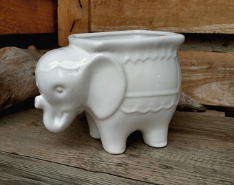 Elephant plant bowl plant pot flower pot, planter