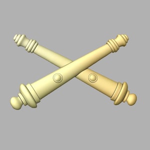 May include: A pair of crossed cannons, a symbol of the United States Army, rendered in a 3D style. The cannons are a light yellow color.