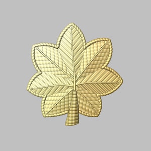 May include: A gold-colored embroidered military insignia in the shape of a five-pointed star.