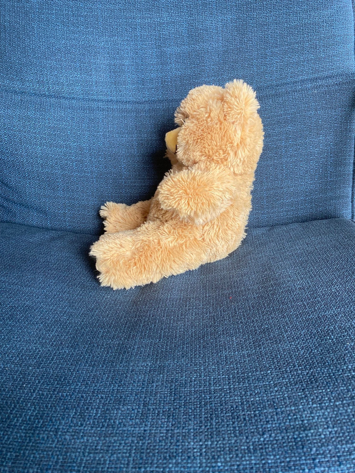 weighted teddy for adults