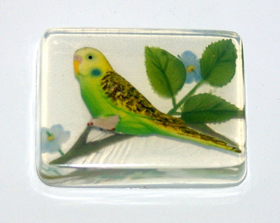 Raritt Designer-Seife "ser grner Wellensittich" - Etsy.de