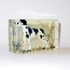 Puede incluir: Un bloque rectangular transparente con una figura de Gran Dan&eacute;s en blanco y negro en su interior. La figura est&aacute; de pie sobre peque&ntilde;as piedras y hay peque&ntilde;as plantas verdes y moradas y una rama en el bloque.