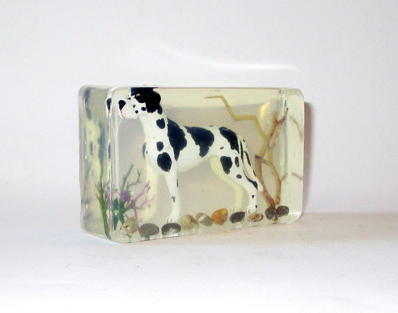 Puede incluir: Un bloque rectangular transparente con una figura de Gran Dan&eacute;s en blanco y negro en su interior. La figura est&aacute; de pie sobre peque&ntilde;as piedras y hay peque&ntilde;as plantas verdes y moradas y una rama en el bloque.