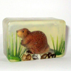 Könnte beinhalten: Ein rechteckiger, transparenter Seifenblock mit einer braunen Biberfigur im Inneren. Der Biber ist von grünem Gras und braunen Steinen umgeben.