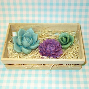 Bonsai seife - Etsy.de