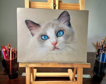 Custom Cat Portrait Coloured Pencils & Pastel