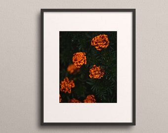 Orange Autumn Florals Print, Fine Art Photography, Abstract Art