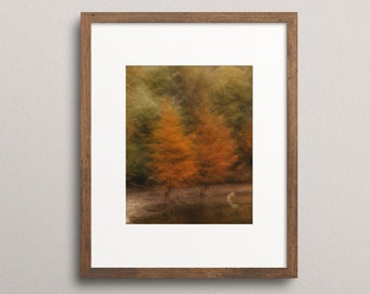 Abstract Autumn Trees, Fine Art Photography, Abstract Art