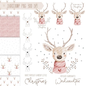 Digistamp/Clipart Reh Horsti PNG 300 DPI