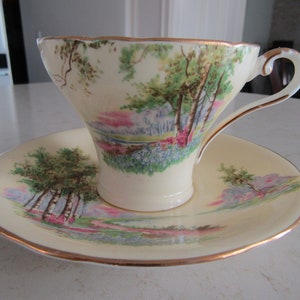 Aynsley Teacup and Saucer