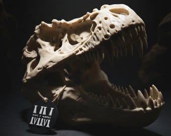 T-Rex Skull — Realistic Dinosaur Fossil, Display Quality Replica