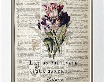 Repurposed Antique Dictionary Page Wall Decor - Tulips - Voltaire - &quot;Let us cultivate our garden&quot;