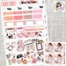 Dream Chaser Goal Getter Girl Boss weekly Kit Stickers Weekly Planner Kit Erin Condre Life Planner Happy Planner
