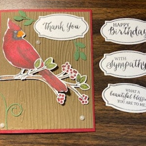 Cardinal Bird Greeting Card