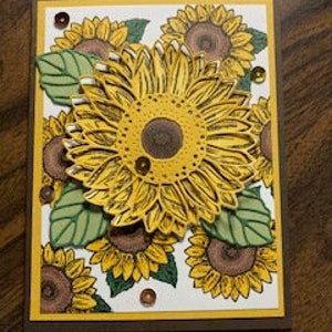 Carte de voeux Explosion de tournesol