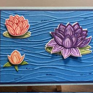 Só porque - Cartão de felicitações Lily Pad