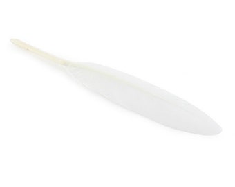 30, 50 ou 100 plumes véritables d'oie blanc fantaisie +/- 12 cm (10/15cm)