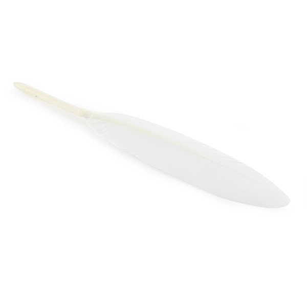 30, 50 ou 100 plumes véritables d'oie blanc fantaisie +/- 12 cm (10/15cm)