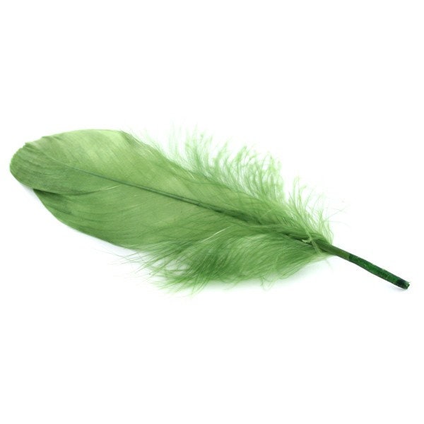 10, 20 ou 50 Plumes Véritable Nageoire d'oie Vert Kiwi +/- 12 - 15 cm