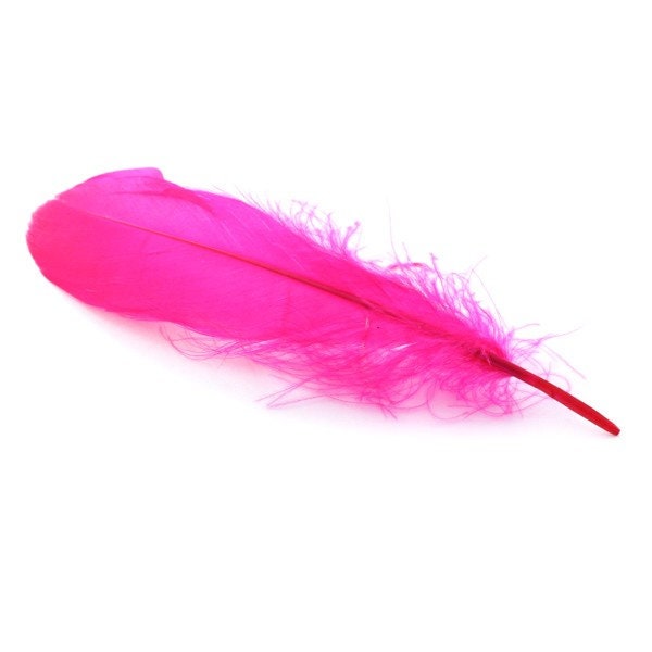 10, 20 ou 50 Plumes Véritable Nageoire d'oie Fuchsia +/- 12 - 15 cm