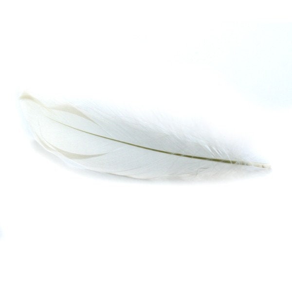 10, 20 ou 50 Plumes Véritable Nageoire d'oie Blanc Ivoire +/- 12 - 15 cm