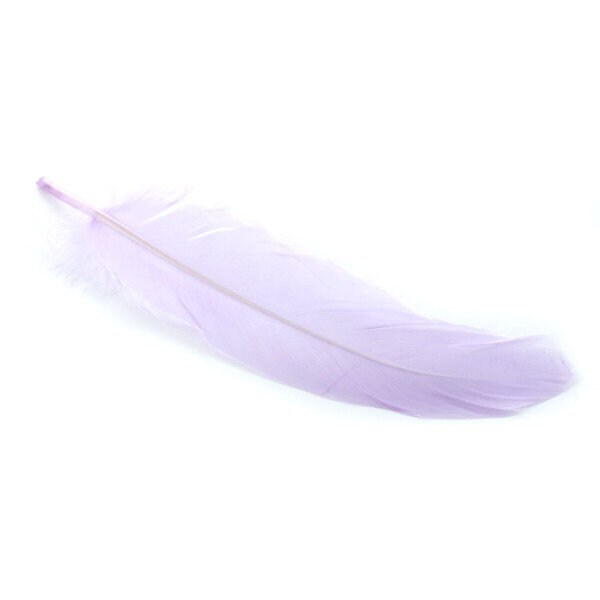 10, 20 ou 50 Plumes Véritable Nageoire d'oie Lilas +/- 12 - 15 cm