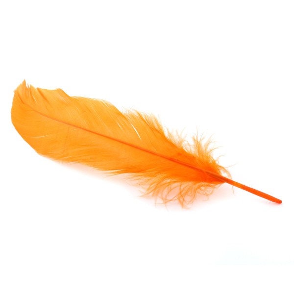 10, 20 ou 50 Plumes Véritable Nageoire d'oie Orange +/- 12 - 15 cm