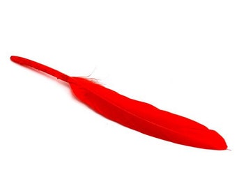 30, 50 ou 100 plumes véritables d'oie rouge  fantaisie +/- 12 cm (10/15cm)