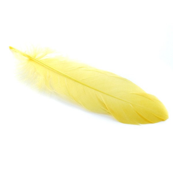 10, 20 ou 50 Plumes Véritable Nageoire d'oie Jaune +/- 12 - 15 cm