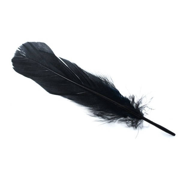 10, 20 ou 50 Plumes Véritable Nageoire d'oie Noir +/- 12 - 15 cm