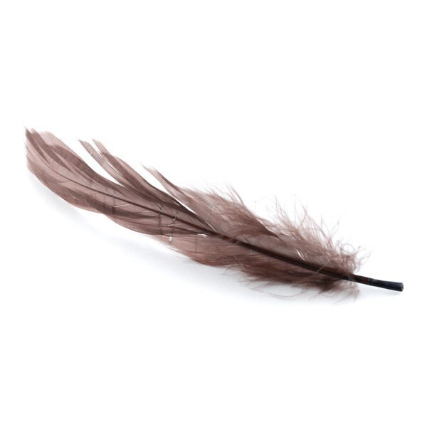 10, 20 ou 50 Plumes Véritable Nageoire d'oie Marron Clair +/- 12 - 15 cm