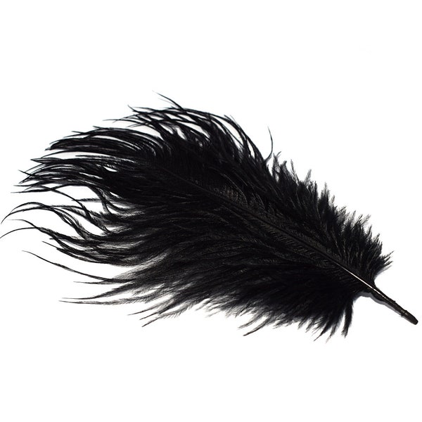 5, 10 ou 20 plume véritable autruche 15-20cm noir