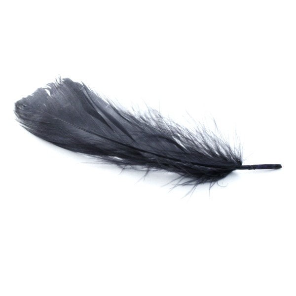 10, 20 ou 50 Plumes Véritable Nageoire d'oie Gris Anthracite +/- 12 - 15 cm
