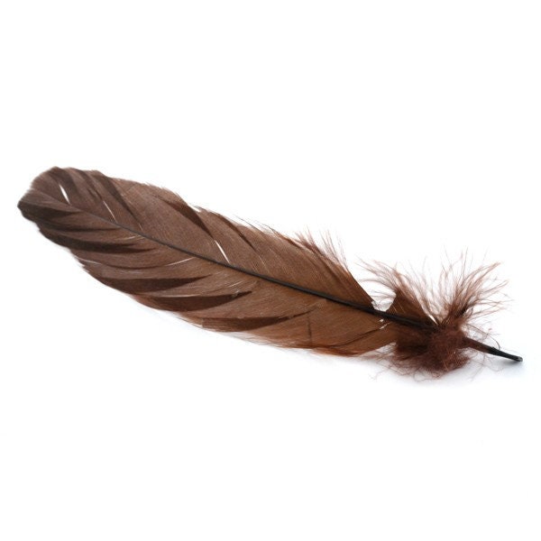 10, 20 ou 50 Plumes Véritable Nageoire d'oie Marron +/- 12 - 15 cm