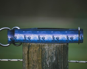 Blue Desert Nights Dog Collar: Outdoor Adventure Collar